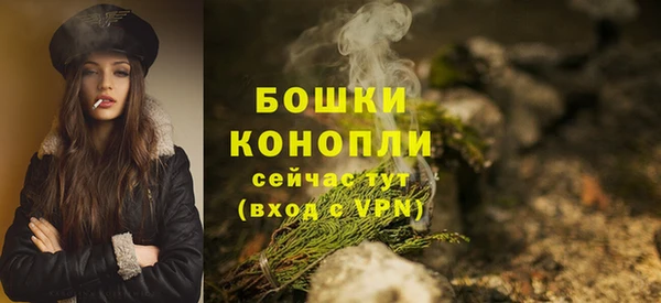 спайс Баксан