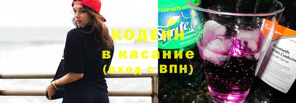 шишки Балабаново