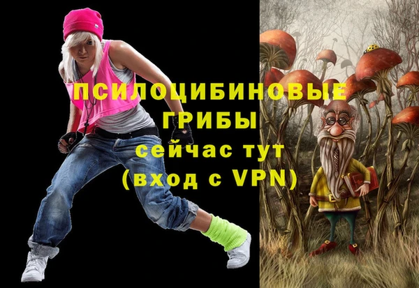 спайс Баксан