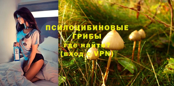 шишки Балабаново