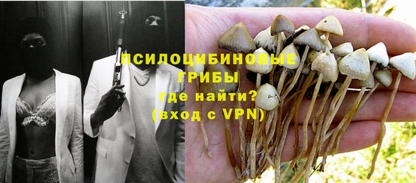 спайс Баксан