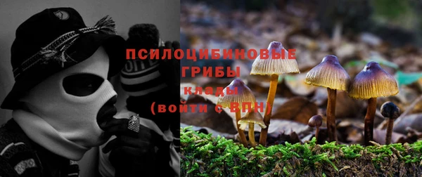 спайс Баксан