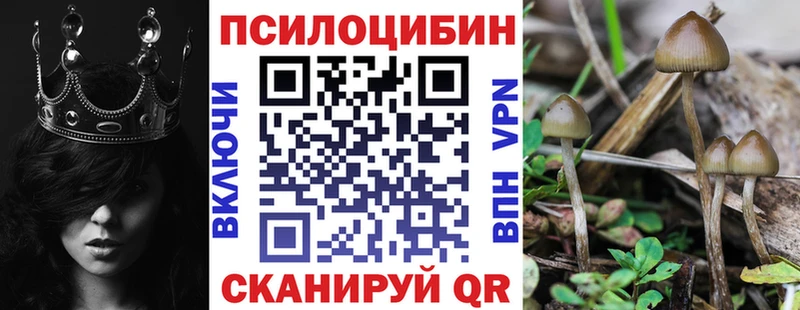 Галлюциногенные грибы GOLDEN TEACHER Корсаков