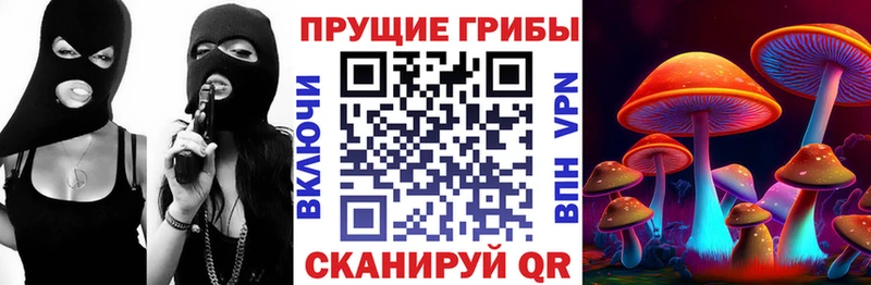 Псилоцибиновые грибы прущие грибы  площадка официальный сайт  Корсаков 